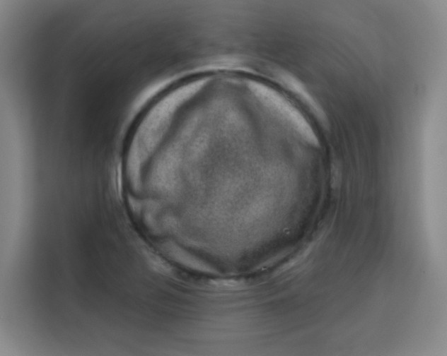 X0000113281320200910051032