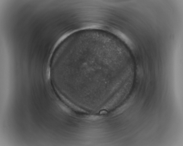 X0000113281324200910051032