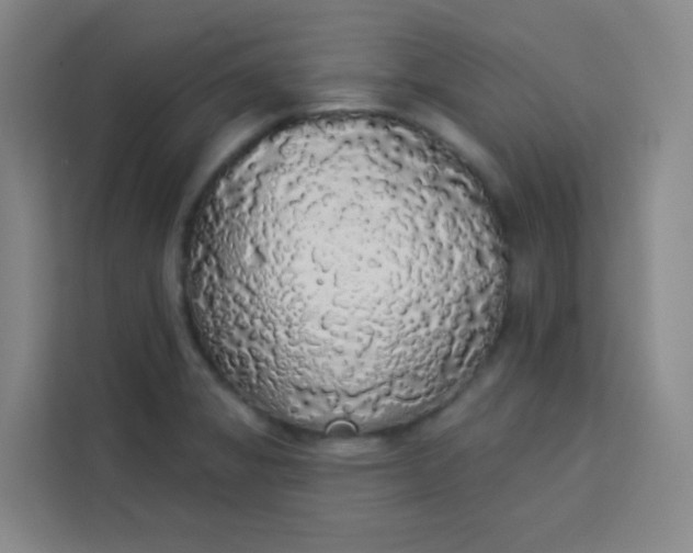 X0000113281325200910051032