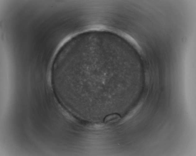 X0000113281326200910051032