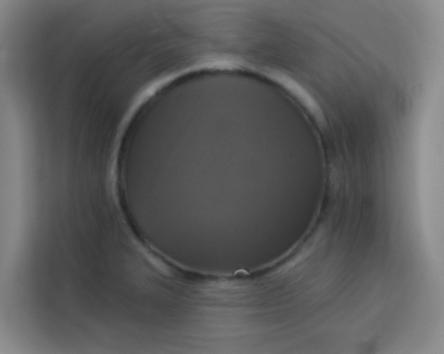 X0000113281327200910051033