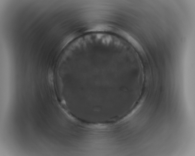 X0000113281329200910051033