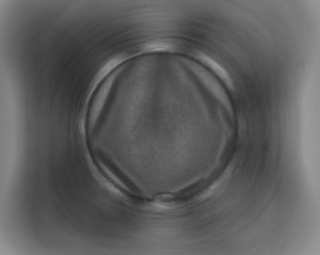 X0000113281330200910051033