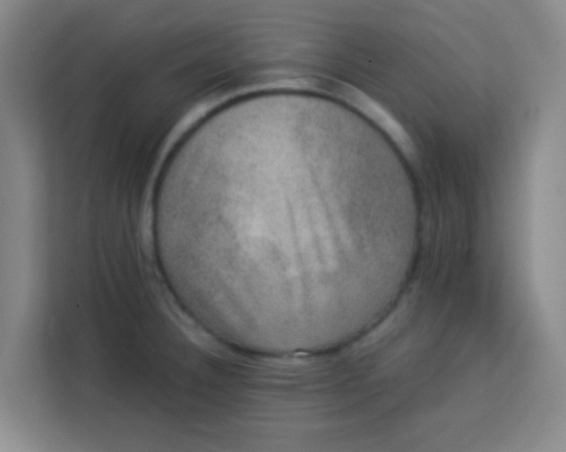 X0000113281332200910051033