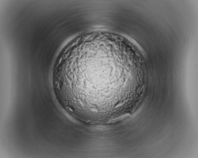 X0000113281333200910051033