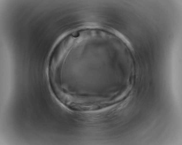 X0000113281334200910051033