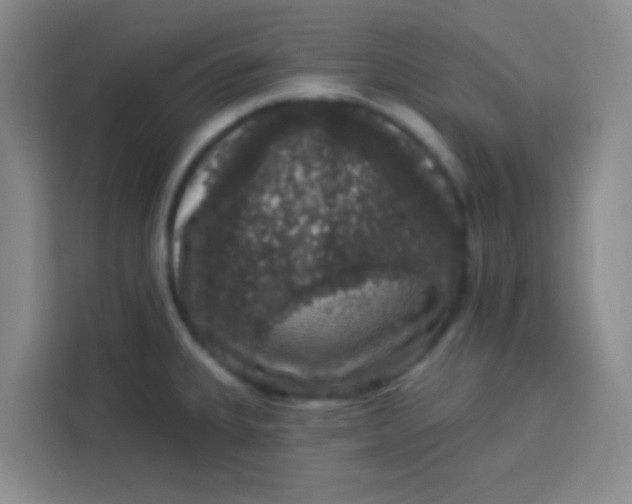 X0000113281335200910051033