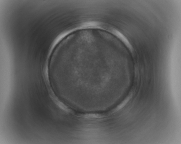 X0000113281336200910051033