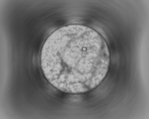 X0000113281338200910051033