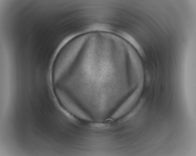 X0000113281339200910051033