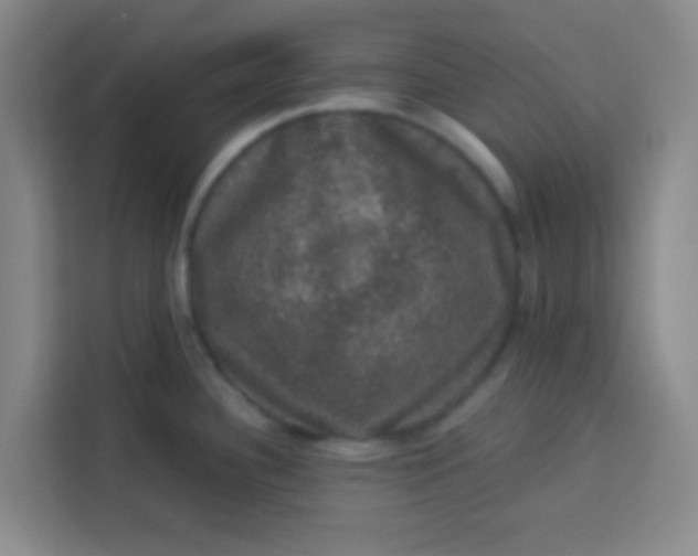 X0000113281340200910051033