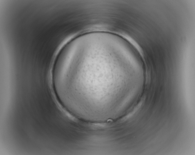 X0000113281341200910051033