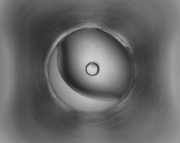 X0000113281342200910051033