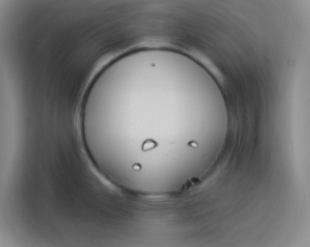 X0000113281343200910051033