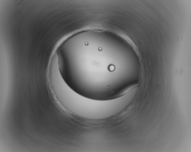 X0000113281344200910051033