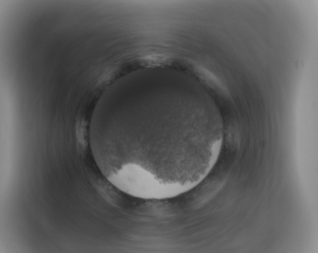 X0000113281346200910051032