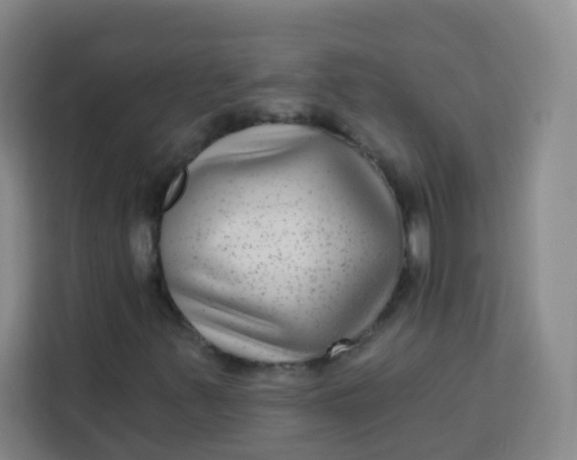 X0000113281347200910051032