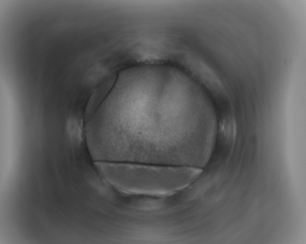 X0000113281348200910051032