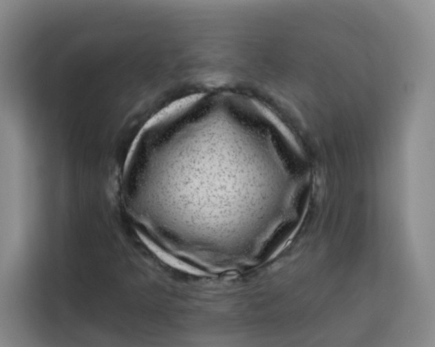 X0000113281349200910051032