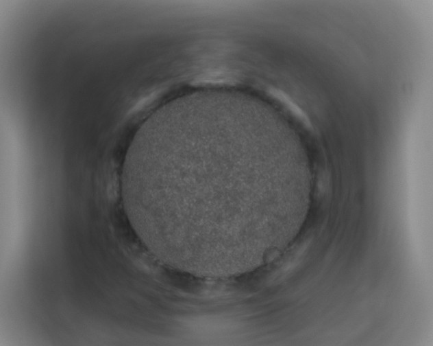 X0000113281350200910051032