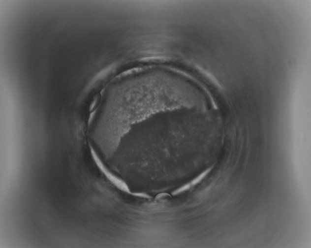 X0000113281351200910051032