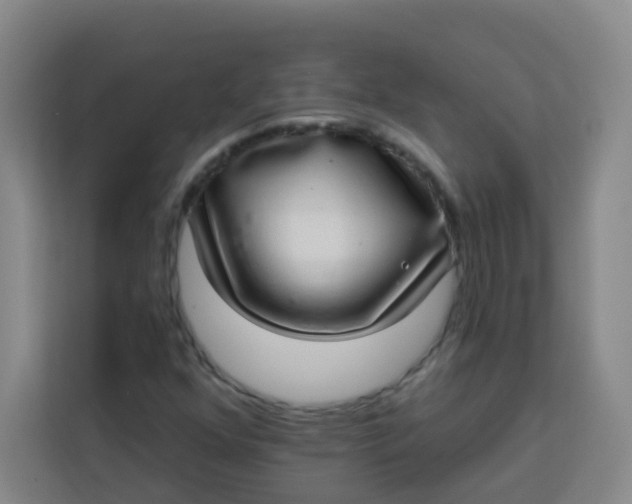 X0000113281352200910051032