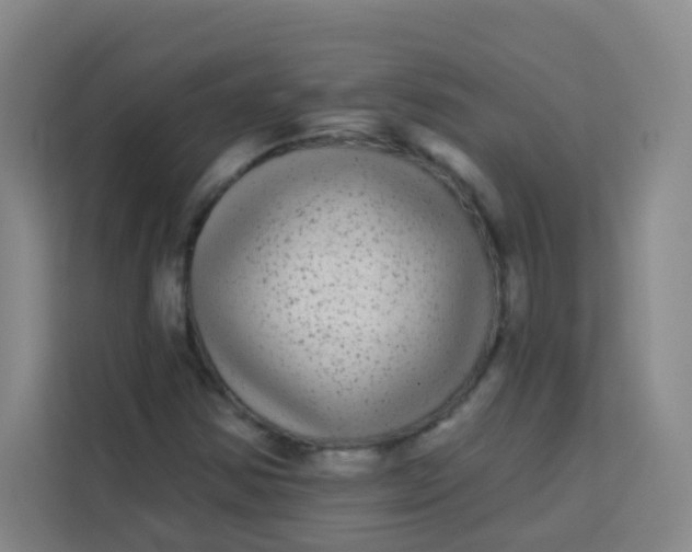 X0000113281354200910051032