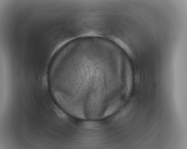 X0000113281356200910051032