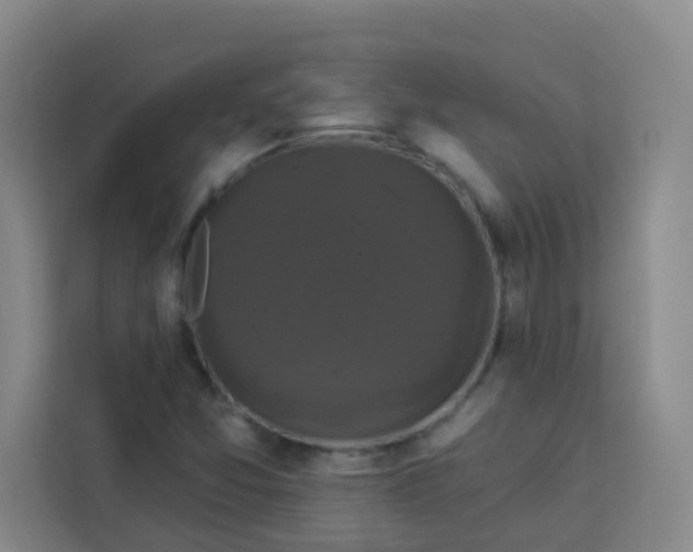 X0000113281357200910051032