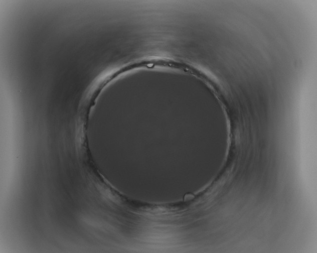 X0000113281359200910051032