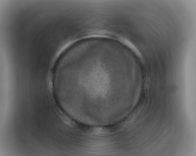 X0000113281360200910051032