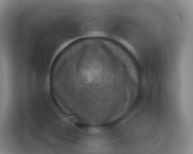 X0000113281364200910051032