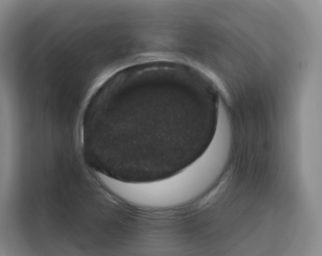 X0000113281365200910051032