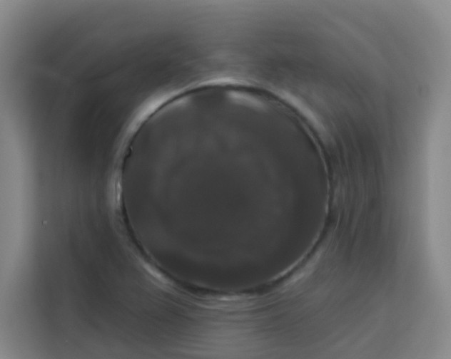 X0000113281367200910051032