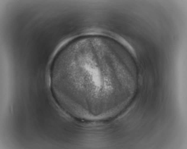 X0000113281368200910051032