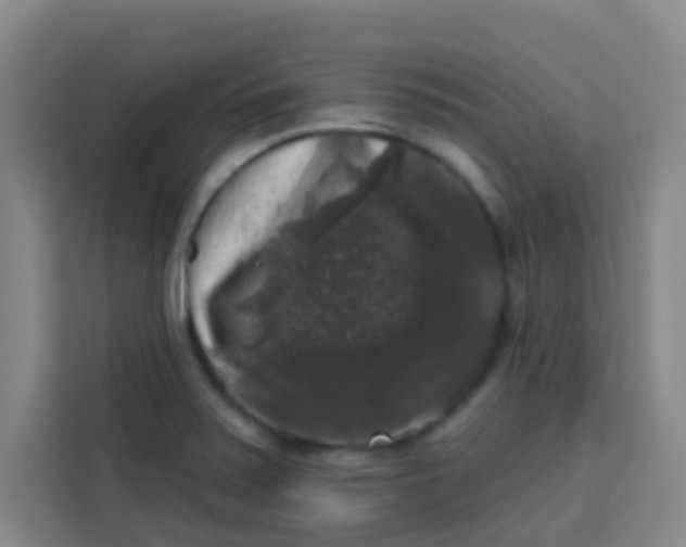 X0000113281371200910051032