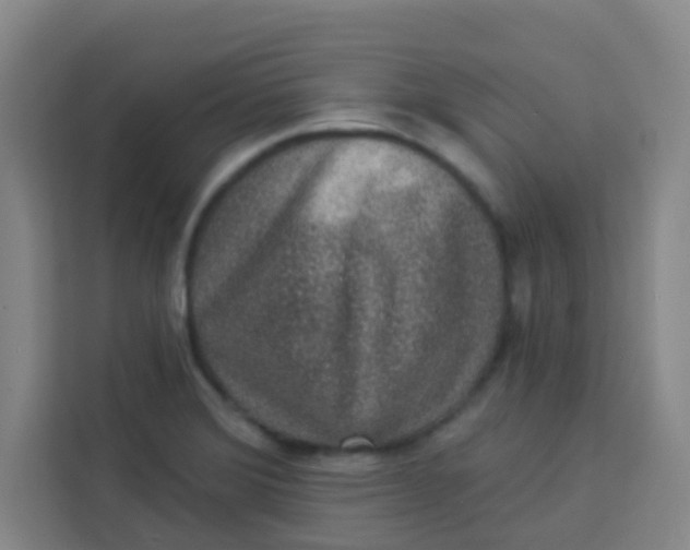 X0000113281372200910051032