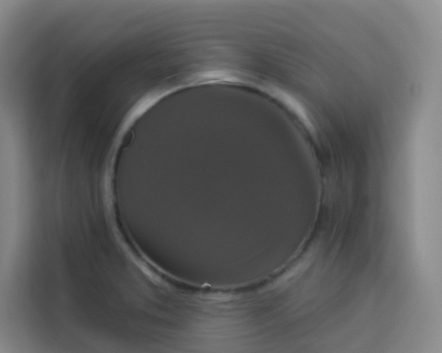 X0000113281373200910051032