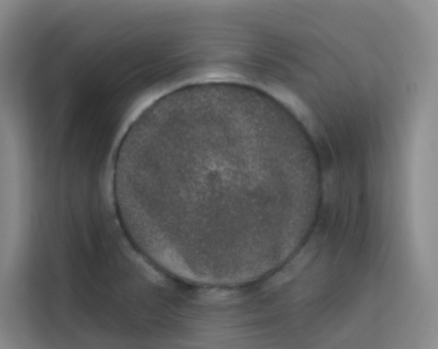 X0000113281374200910051032