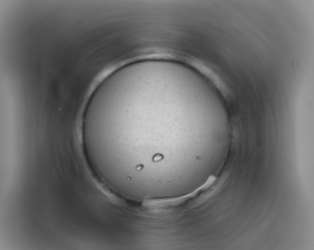 X0000113281375200910051032