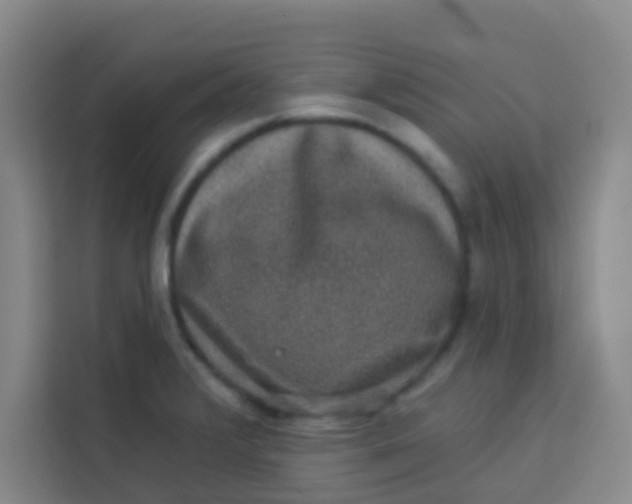 X0000113281376200910051032