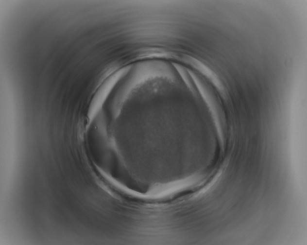 X0000113281377200910051032