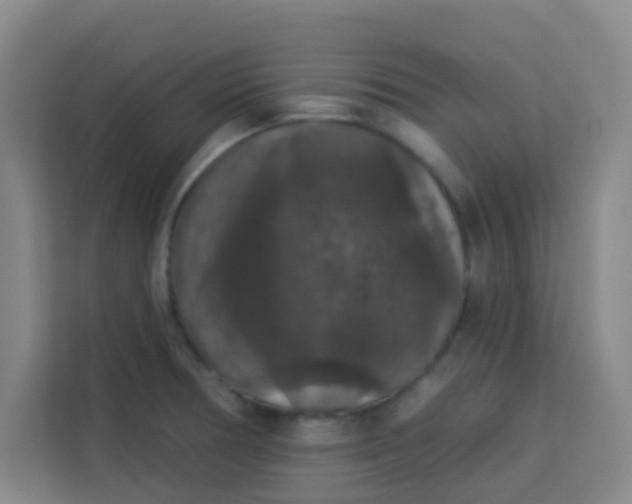 X0000113281378200910051032