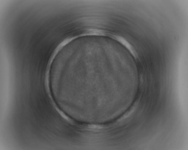 X0000113281379200910051032