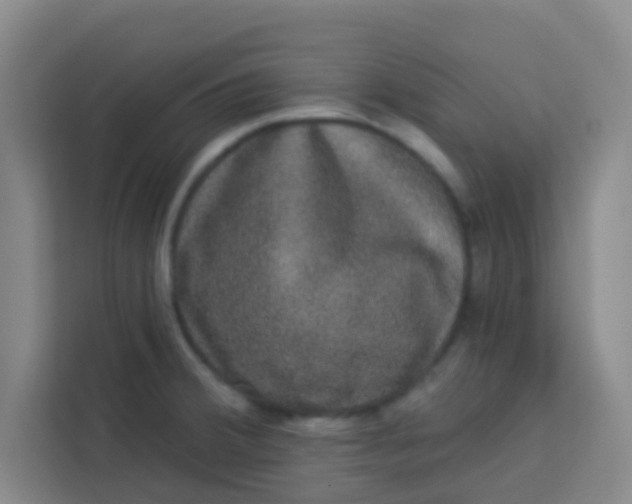 X0000113281380200910051032