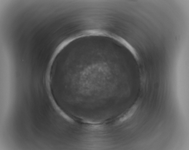 X0000113281381200910051032