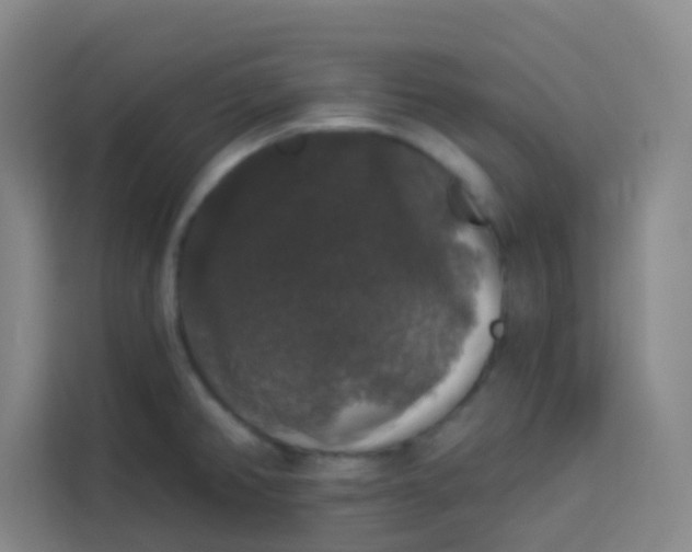 X0000113281382200910051032