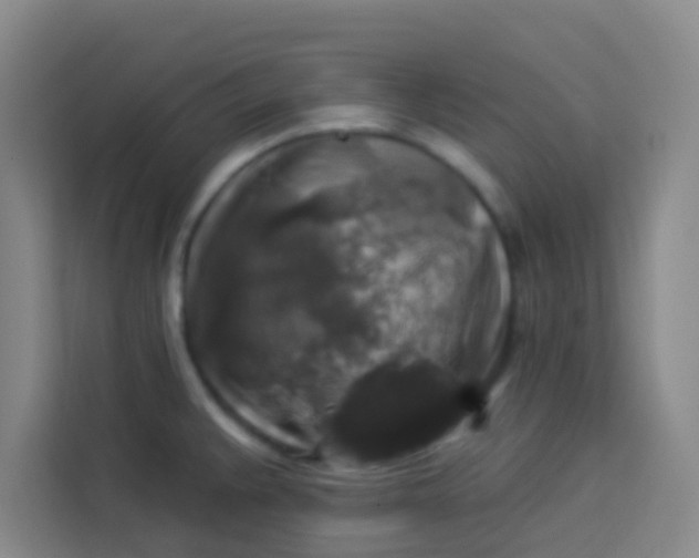 X0000113281383200910051032