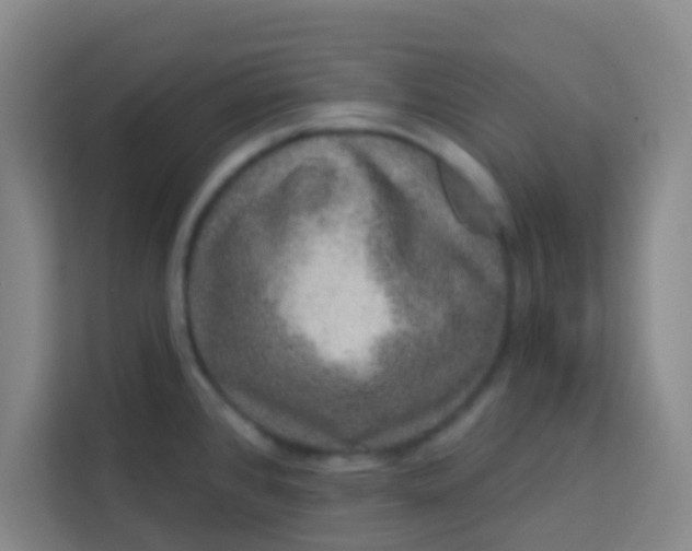 X0000113281384200910051032