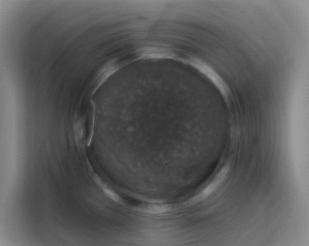 X0000113281385200910051032